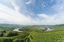 Germany,  Rhineland-Palatinate, Moselle loop Trittenheim — Stock Photo