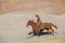USA, Wyoming, Big Horn Mountains, riding cowboy swinging lasso — Stock Photo
