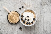 Wholemeal quinoa, popped quinoa with yogurt and blackberries — Stock Photo