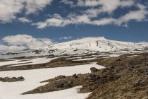 Ісландія, Snaefellsjoekul, вид гори зі снігу на вершині денний час — стокове фото