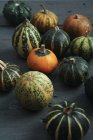 Zucche fresche ornamentali — Foto stock