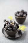 Frische Himbeeren in brauner Schüssel mit Untertasse — Stockfoto
