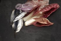 Sardine crue, radicchio, bacon et rondelles d'oignon — Photo de stock