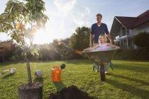 Father with daughter in wheelbarrow planting tree in garden — Stock Photo
