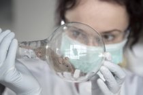 Науково-дослідна лабораторія, молодий вчений дивляться миші в колбу кругла внизу — стокове фото