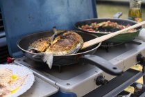 Fried Fish in frying pan on camping stove — Stock Photo