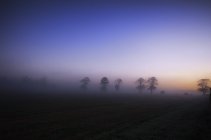 Великобритания, Шотландия, Восточный Лотиан, Хаддингтон и вид на деревья в сумерках — стоковое фото