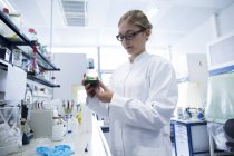 Joven científico trabajando en un laboratorio - foto de stock