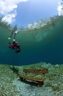 Diver e panchina subacquea durante il giorno — Foto stock