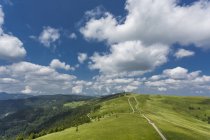 Germania, Baden-Wuerttemberg, Foresta Nera, Feldberg, veduta aerea del prato verde e della foresta — Foto stock