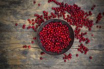 Lingonberry freschi in ciotola — Foto stock