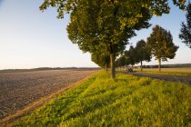 Germany, Baden-Wuerttemberg, Einsiedel, view to harvested field and tree-lined road with convertible at autumn — Stock Photo