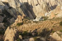Turquia, Parque Nacional de Goereme, formações rochosas de tufo e cultivo de videira — Fotografia de Stock