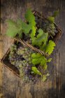 Wicker basket of grapes and vine leaves on dark wood — Stock Photo