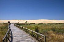 Espanha, Galiza, Província de A Coruna, Corrubedo, Duna errante, Dunas do Parque Natural de Corrubedo — Fotografia de Stock