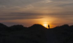 Silhueta de menina na duna ao pôr do sol — Fotografia de Stock