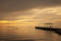 Slovenia, Istria, Litorale sloveno, costa adriatica, Izola, pontile al tramonto — Foto stock