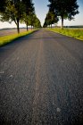 Germany, Baden-Wuerttemberg, Einsiedel, empty tree-lined road at sunlight — Stock Photo
