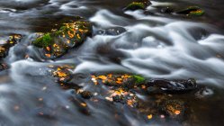 Parque Nacional Forestal de Baviera, Río Grosser Regen en otoño, Alemania - foto de stock
