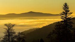 Aussichtsreiche Aussicht vom Tal mit Nebelschwaden bei Sonnenaufgang, Nationalpark Bayerischer Wald, Bayern, Deutschland — Stockfoto