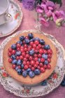 Blueberries and red currant on cake — Stock Photo