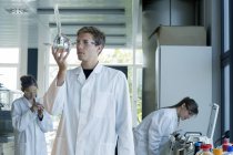 Три хіміків, які працюють в хімічної лабораторії — стокове фото
