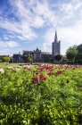 Irlanda, Contea di Dublino, Dublino, Wood Quay, St Patricks Cathedral e St Patricks Park in giornata di sole splendente — Foto stock