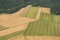 Германия, Рейнланд-Пфальц, Эйфель, вид с воздуха на поля пейзажа — стоковое фото