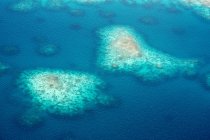 Oceania, Palau, Pacific Ocean, Coral reef — Stock Photo