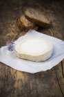 French goat cheese and lavender flower with bread pieces on wooden surface — Stock Photo