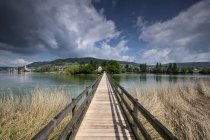 Швейцария, Тургау, Эшенц, деревянный мост через Рейн — стоковое фото