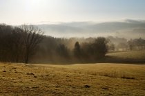 Germany, North Rhine-Westphalia, Bergisches Land, landscape at morning mist — Stock Photo
