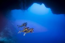 Палау, Тихий океан, водолазы в подводной пещере — стоковое фото