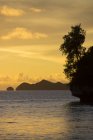 Vista dell'isola tropicale al tramonto, Palau, Micronesia — Foto stock
