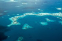 Океания, Палау, Тихий океан, Коралловый риф днем — стоковое фото