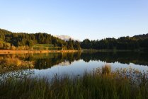 Germania, Baviera, Alta Baviera, Werdenfelser Land, Kruen, Lago Geroldsee, sullo sfondo le montagne del Karwendel — Foto stock