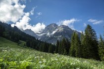 Austria, Alte Alpi Allgaeu, Grande Widderstein e vetta sullo sfondo durante il giorno — Foto stock