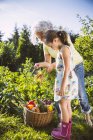 Nonna e nipote che lavorano nell'orto — Foto stock