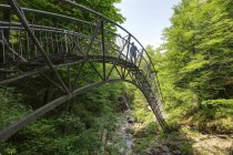 Austria, Lower Austria, Mostviertel, Eisenwurzen, Ybbsitz, hiker walking on steel bridge — Stock Photo