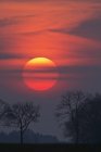 Vista panoramica del sole serale e degli alberi al tramonto Baviera, Germania
, — Foto stock