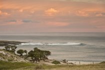 Nuova Zelanda, Isole Chatham, tramonto sulla baia di Ohira — Foto stock