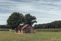 Alemania, Renania del Norte-Westfalia, Casa rural en Muensterland occidental - foto de stock