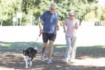 Senior pareja trotando con perro - foto de stock