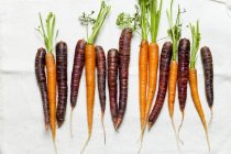 Свежая морковь и фиолетовый туман — стоковое фото