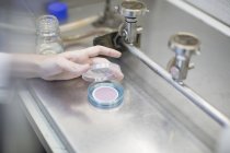 Mão de um cientista com placa de Petri — Fotografia de Stock