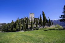 Itália, Trentino, Arco, Castello di Arco sobre árvores sobre relva durante o dia — Fotografia de Stock