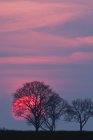 Живописный вид на вечернее солнце и деревья на закате Бавария, Германия
, — стоковое фото