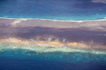 Oceania, Palau, Oceano Pacifico, barriera corallina — Foto stock