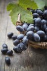 Ramo de uvas azules en canasta sobre madera oscura - foto de stock
