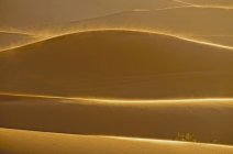 View of Erg Chebbi dunes at daylight, Morocco, Africa — Stock Photo